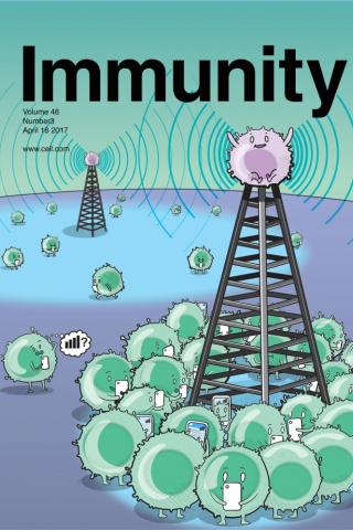 Tunable cell-to-cell communications in the immune system