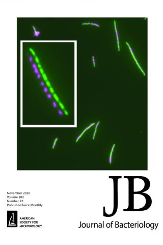 Journal of Bacteriology cover Nov 2020