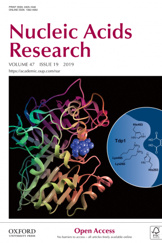 Crystal structure of TDP1 bound to one of the small molecule inhibitors