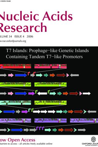 cover of Nucleic Acids Research April 2006