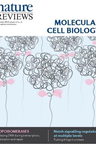 Nature Reviews Molecular Cell Biology, Vol. 17, No. 11, November 2016