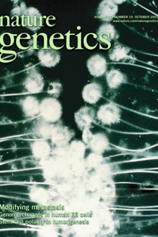 Modifying Metastasis