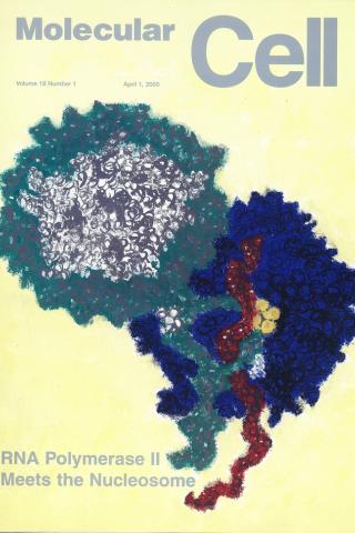 Cover of Molecular Cell April 1, 2005