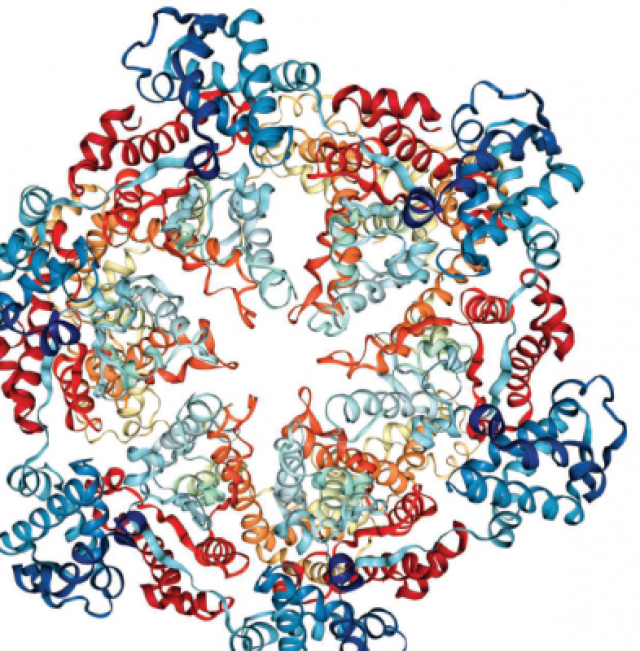 Which Proteins Are Marked For Destruction