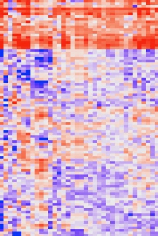Heat map graph shows the gene expression profiles of over 11,000 different tumors
