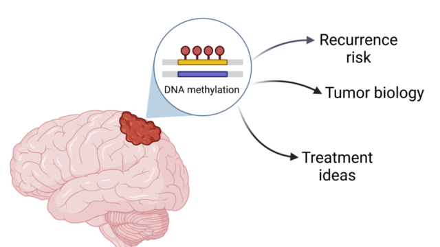 pattern of DNA methylation in a meningioma tumor