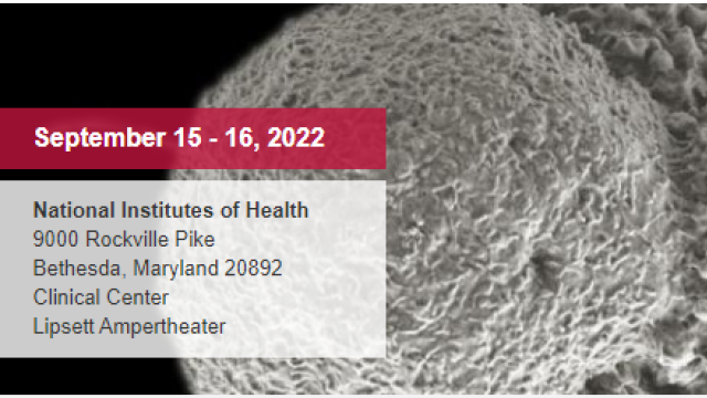 Information on Cancer Immunology and Immunotherapy conference