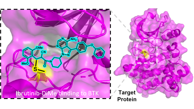 A graphic depiction of the dimethoxyphenyl cyanoacrylamide (DiMe) chemical warhead facilitating reversible binding of drug to its molecular target.