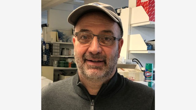 Stefan Ambs, Ph.D., M.P.H.
