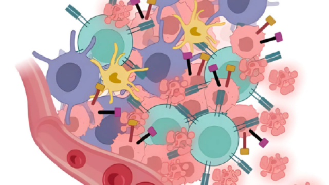 a small cluster of cancer cells that has spread from the primary tumor