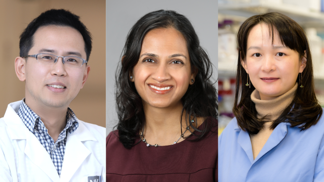 Headshots of Dr. Jiang, Dr. Shah, and Dr. Zhang