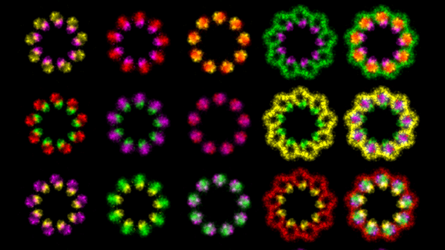 How to build cilia.
