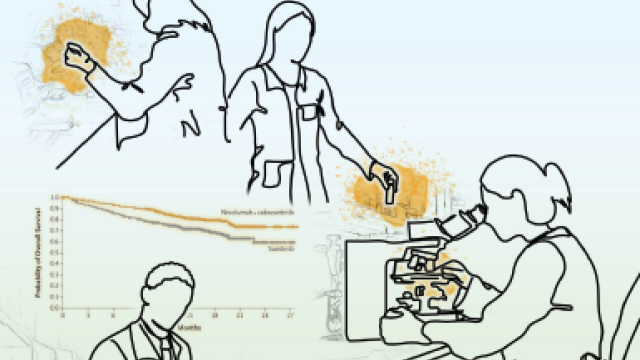 Good for Bladder Cancer, Better for Kidney Cancer - Illustration showing team science, moving the drug from basic research into treatment