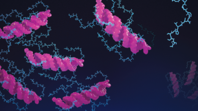 Gelling Together Against Cancer - Illustration showing the two-step process for delivering therapy through a gel