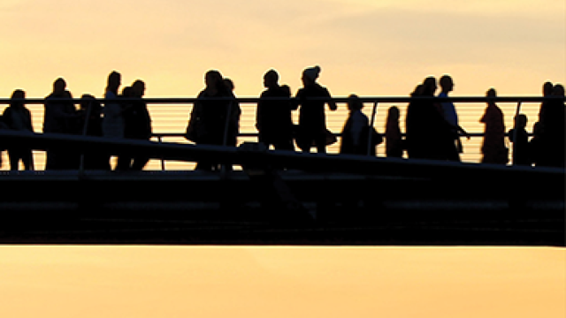 Bridging the Health Disparities Gap