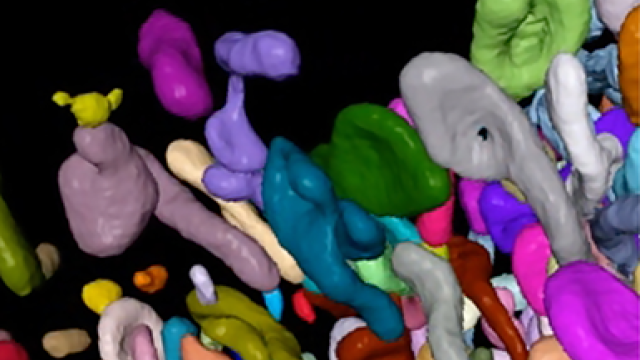 A depiction of mitochondria from liver cells closer to the center of liver lobules