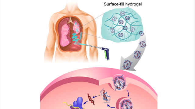 Diagram illustrates how the hydrogel platform delivers therapy directly to cancer cells
