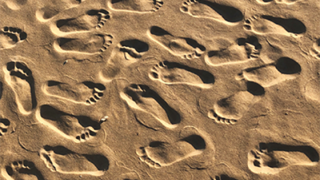 Following Viral Footprints