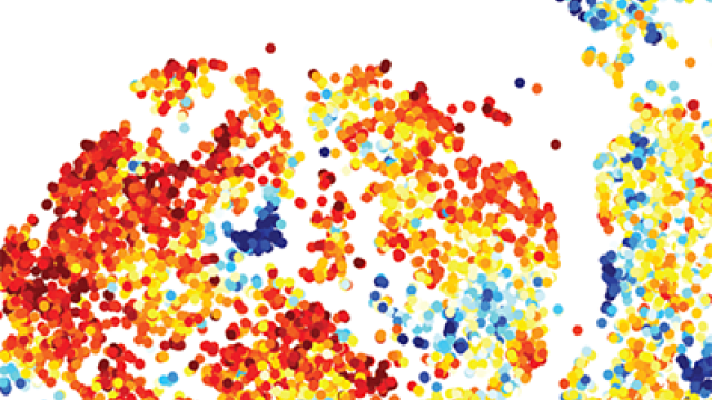 Predicting Melanoma