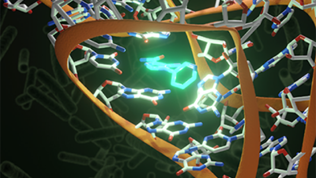Switching on RNA