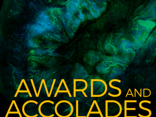 Awards and Accolades