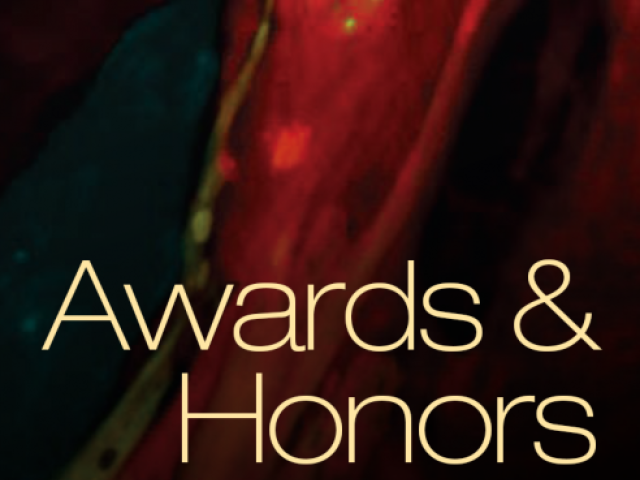 Awards & Honors graphic