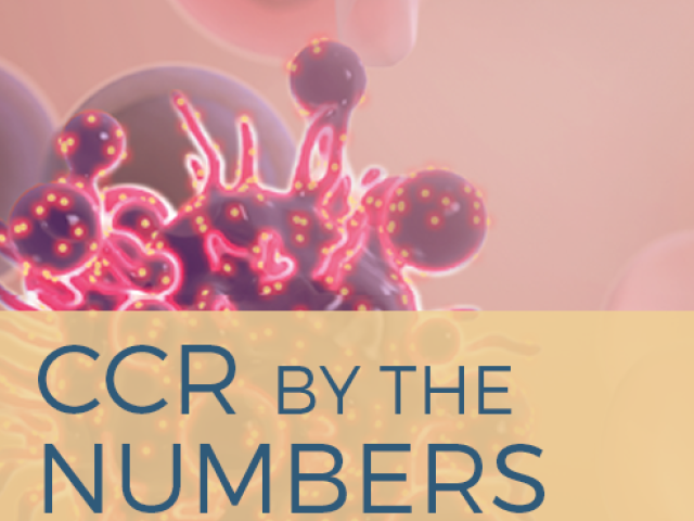 CCR By the Numbers