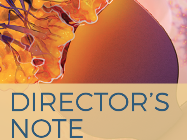 Director's Note