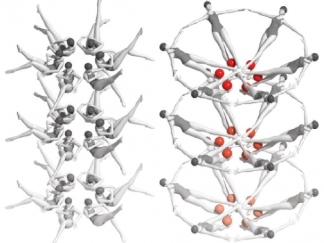 riboswitch RNA molecules rearrange themselves into a new crystal form