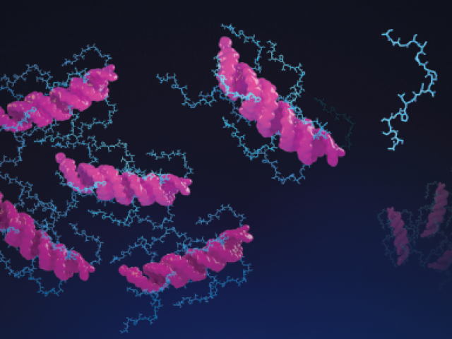 Gelling Together Against Cancer - Illustration showing the two-step process for delivering therapy through a gel