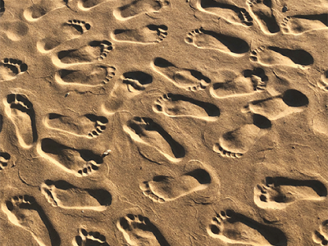 Following Viral Footprints