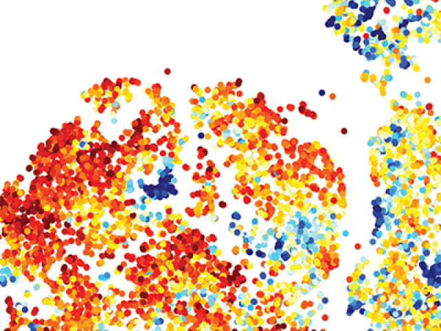 Predicting Melanoma