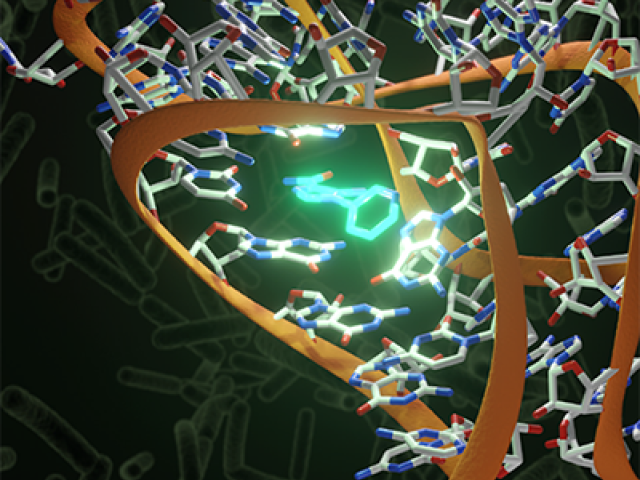Switching on RNA
