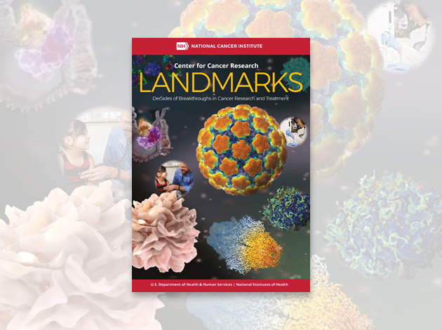 Landmarks cover photo