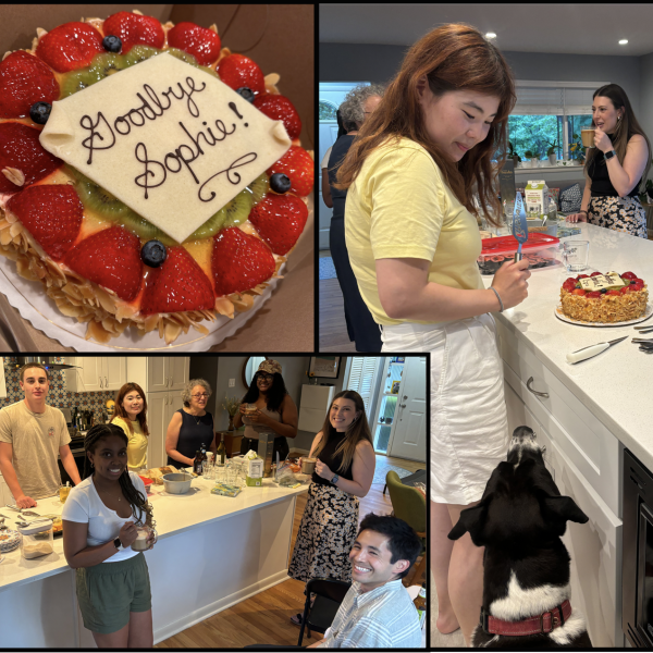 Farewell party to Sophie Kang