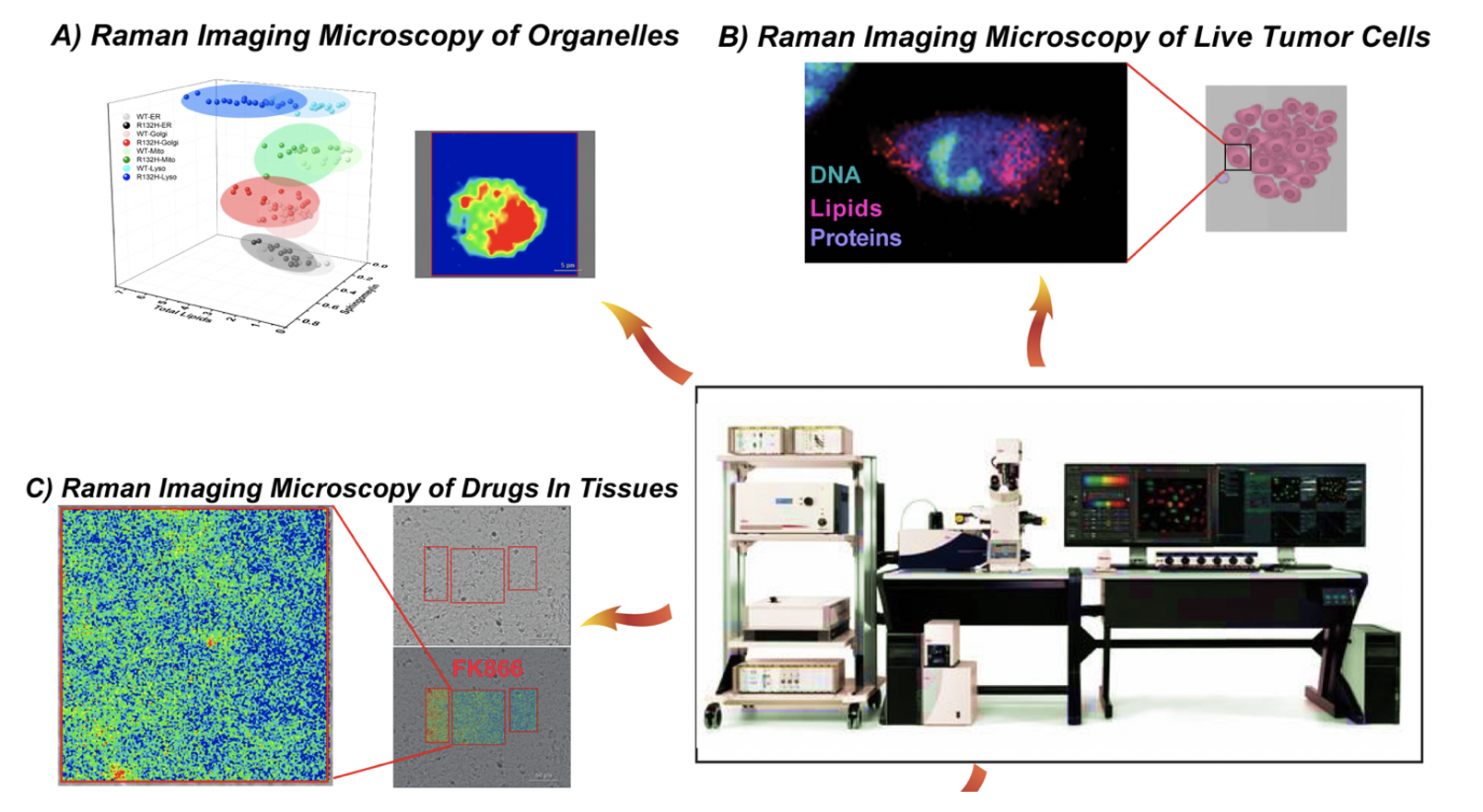 Raman spectroscopy imaging