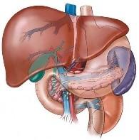 Biliary Tract Cancer Pooling Project 