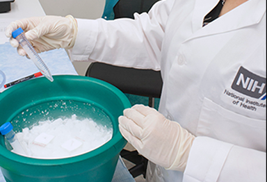 Hands in lab gloves looking at a tube in an ice bucket