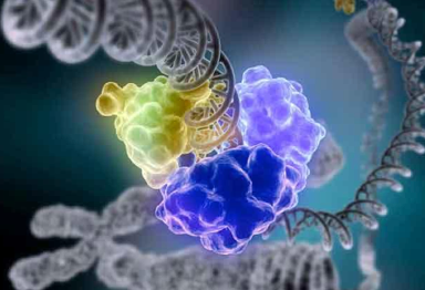 PARP enzymes help repair damaged DNA. PARP inhibitors block this repair mechanism, causing some cancer cells to die.