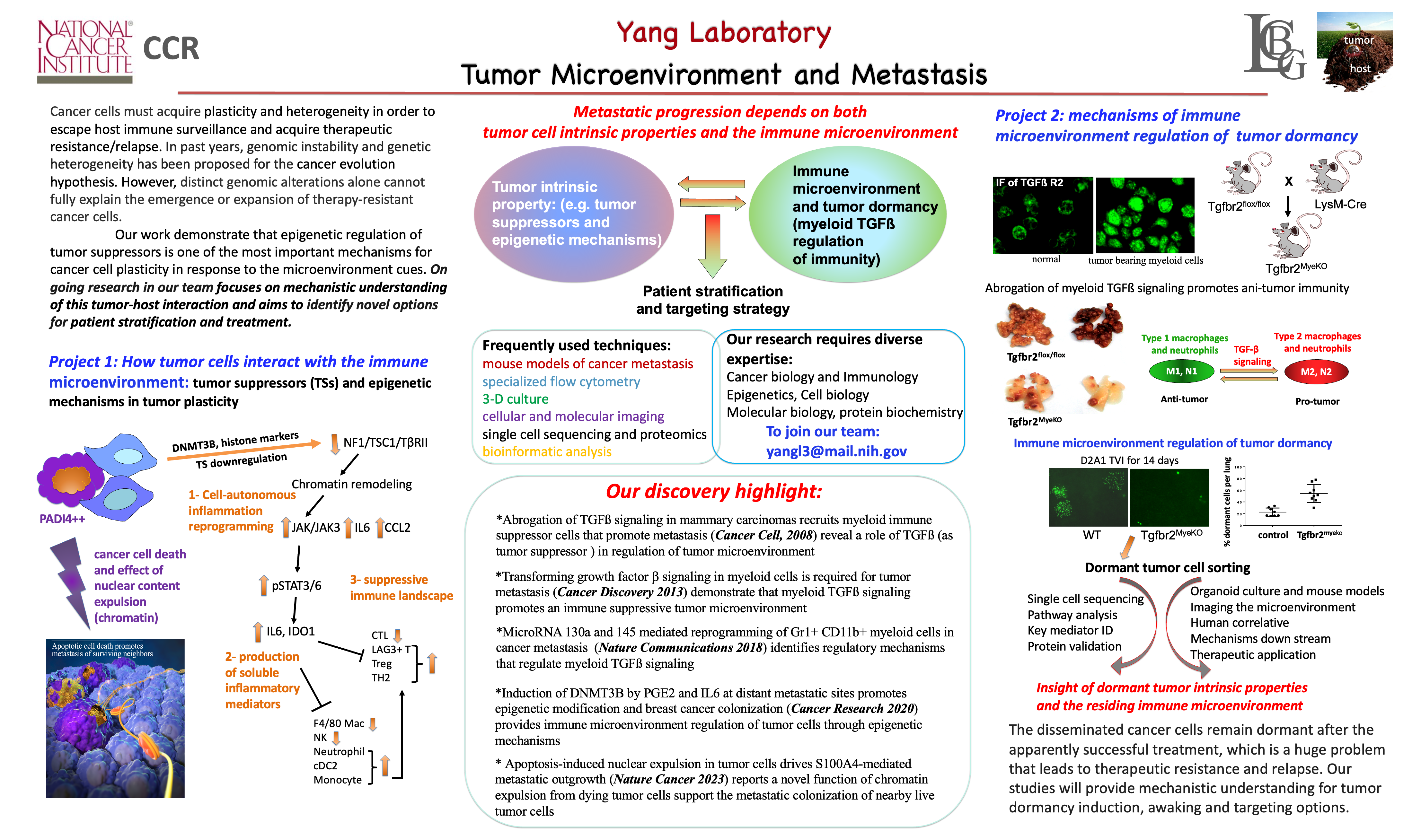 Poster summary of Yang Lab research projects