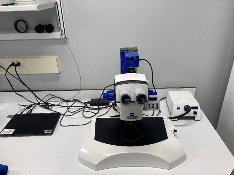 Zeiss Discovery V20 Microscope