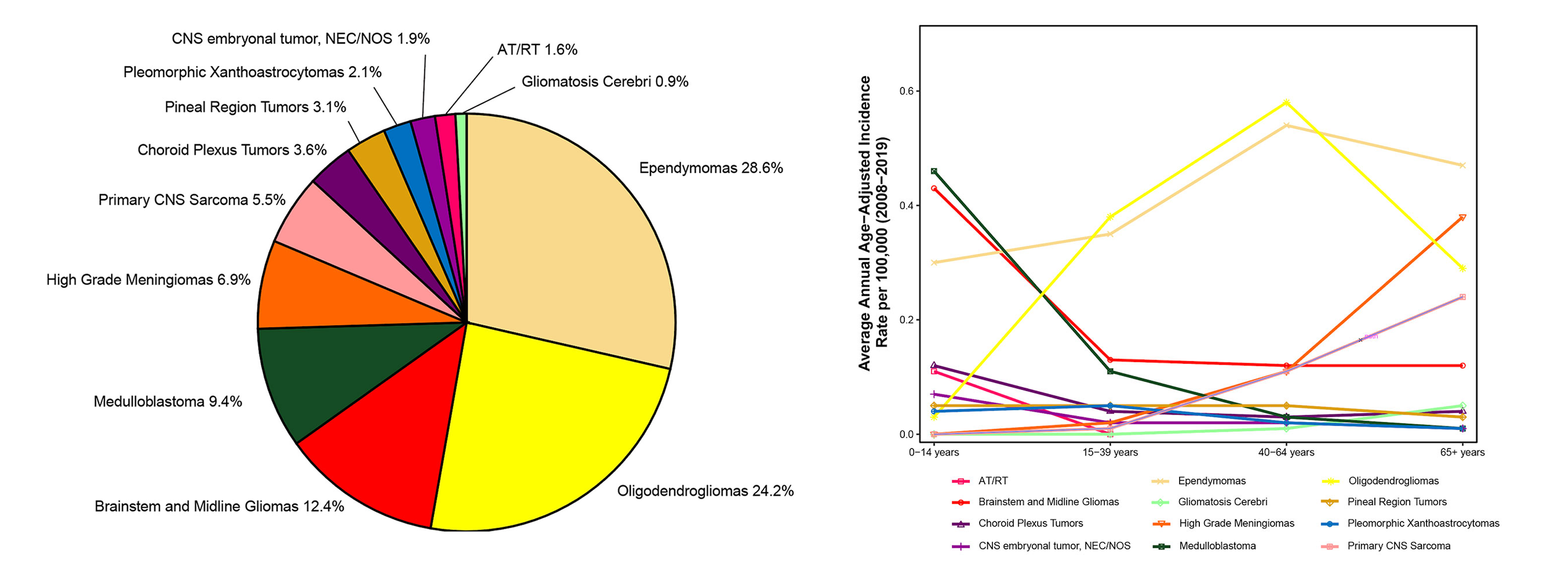 Two figures: 1. Pie chart showing the distribution of newly diagnosed cases by tumor type: Gliomatosis Cerebri (0.9%), AT/RT (1.6%), Primary CNS Sarcoma (5.5%), CNS embryonal tumor, NEC/NOS (1.9%); Pleomorphic Xanthoastrocytomas (2.1%); Pineal Region Tumors (3.1%); Choroid Plexus Tumors (3.6%); Brainstem and Midline Gliomas (12.4%); High Grade Meningiomas (6.9%); Medulloblastoma; (9.4%) Oligodendrogliomas (24.2%); Ependymomas (28.6%). 2. A line graph with Average Annual Age-Adjusted Incidence Rate per 100,0