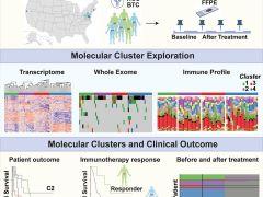 Molecular Cluster Exploration graphic