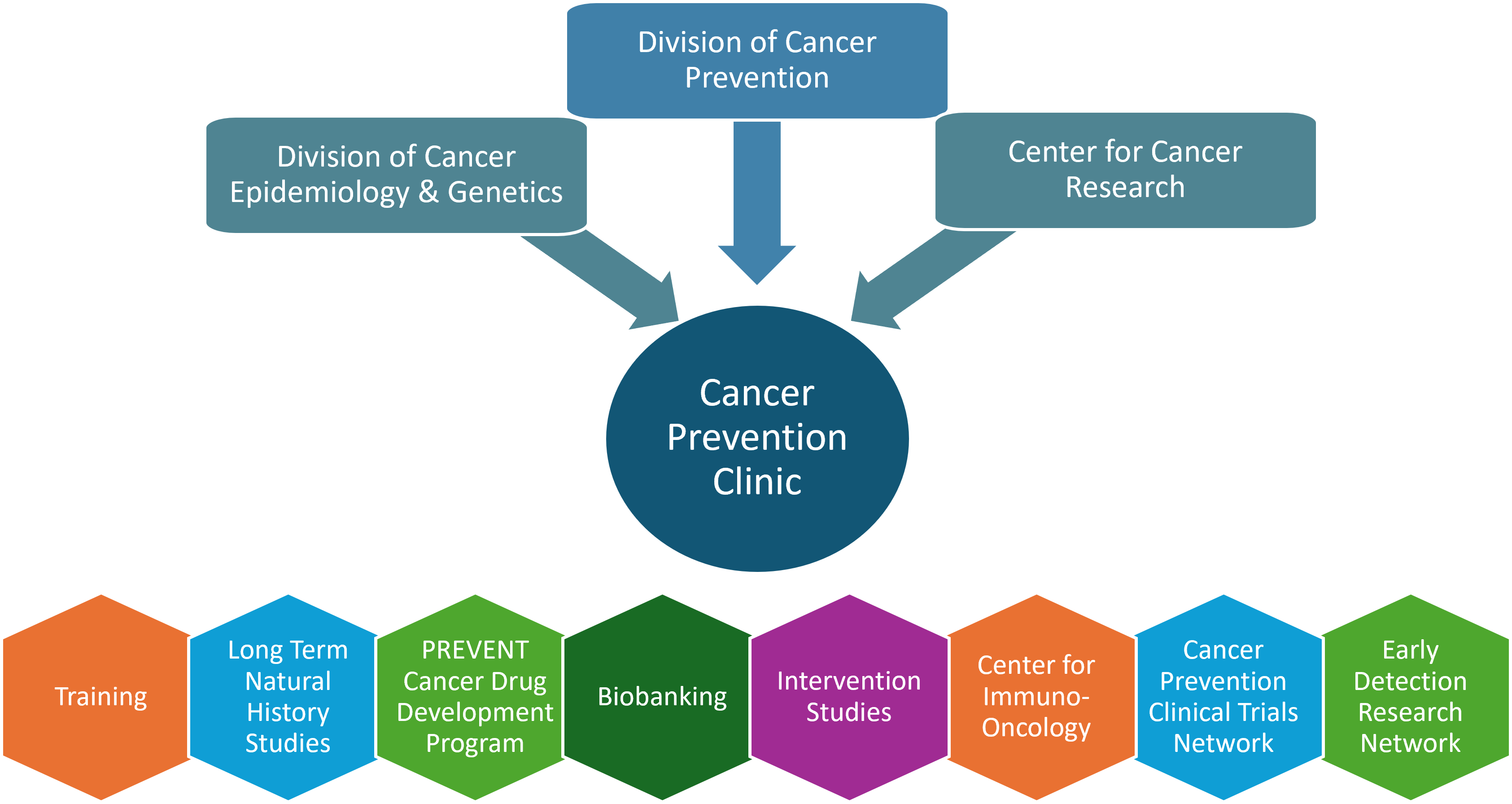 Visual representation of the Cancer Prevention Clinic