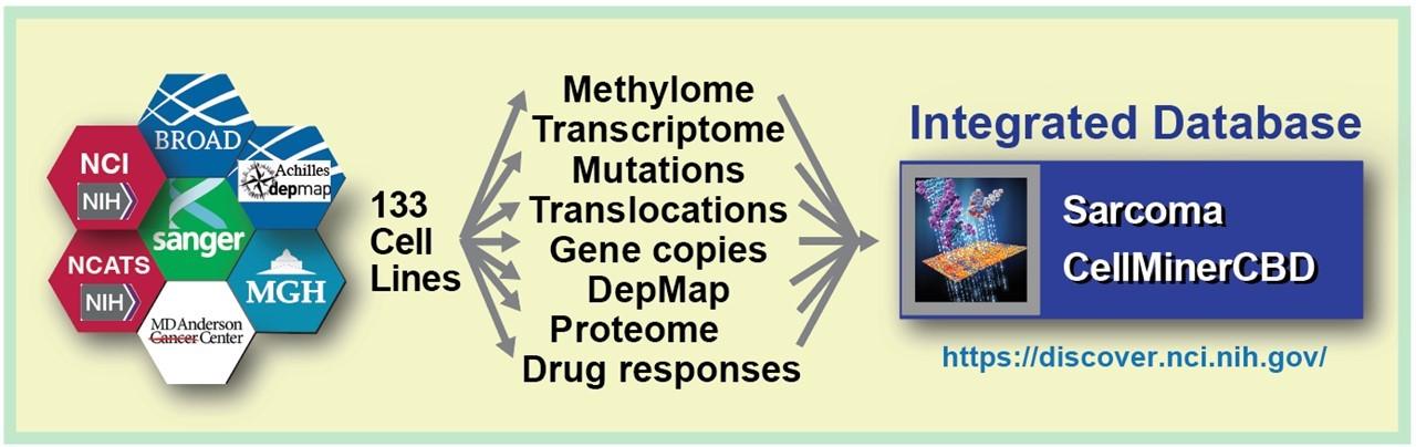 A banner image listing the functionalities of Sarcoma_CellMinerCDB 