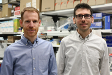 Drs. Aregger and Gonatopoulos-Pournatzis