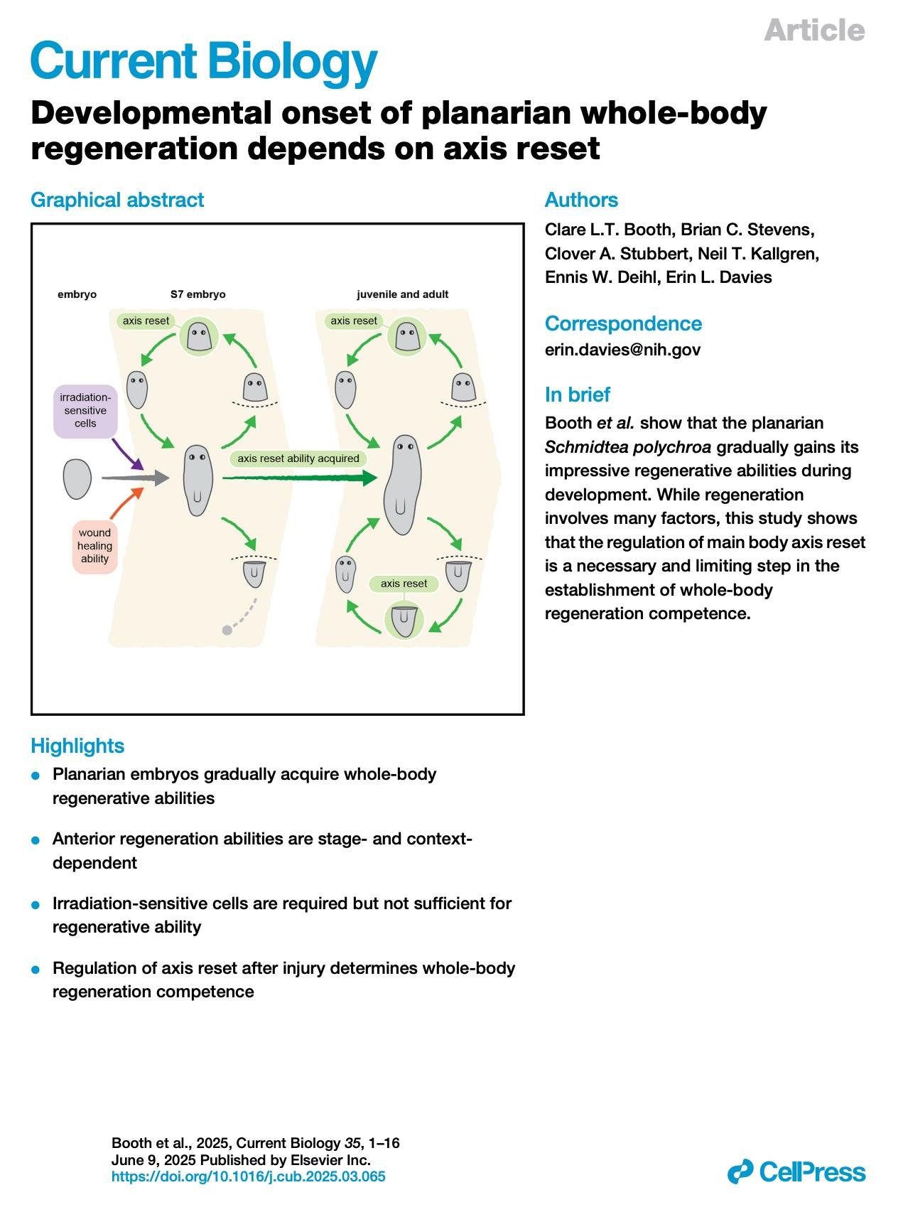 Current Biology Link: Developmental onset of planarian whole-body regeneration depends on axis reset