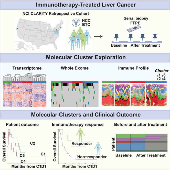 Cell Rep Med_May 2023