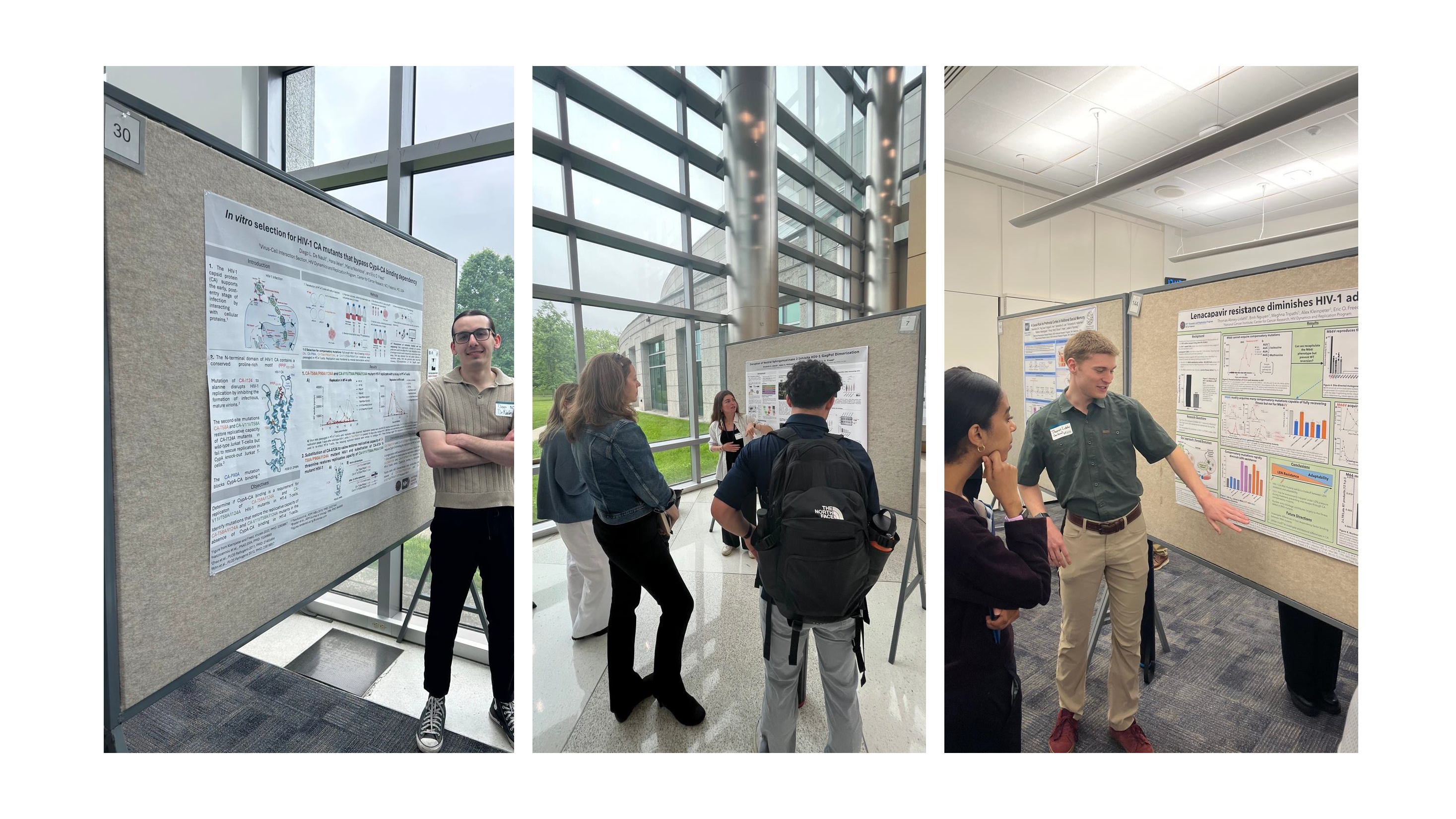Freed lab at NIH Posbac Day