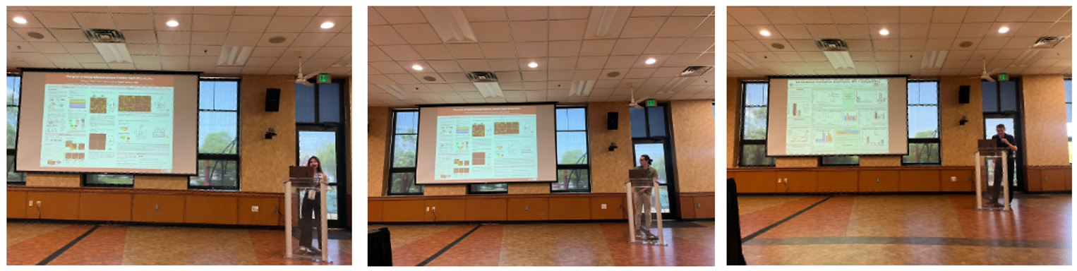 Freed lab presenting at Spring Research Festival